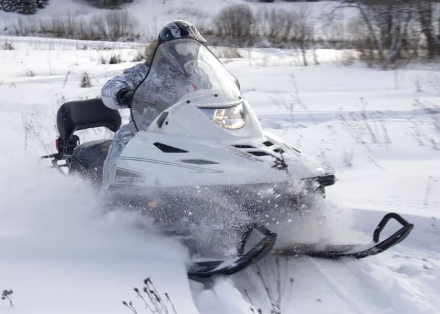 Снегоход РУССКАЯ МЕХАНИКА Тайга Варяг 550 V SE, фото 5