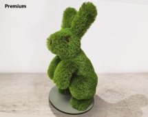 Топиари заяц Бари - газон Deluxe Green