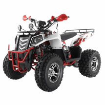 Квадроцикл WELS 200cc EVO