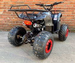 Квадроцикл MOWGLI Simple 8+, фото 5