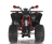 Квадроцикл WELS ATV Thunder 200 Evo X
