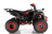Квадроцикл WELS ATV Thunder 200 Evo X