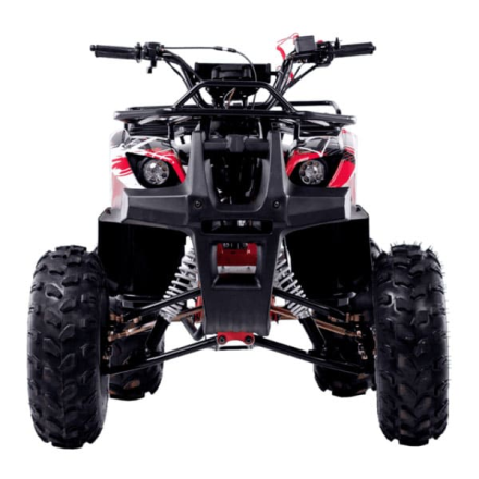 Квадроцикл WELS Thunder 125 Basic, фото 2