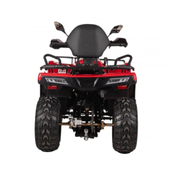 Квадроцикл Bizon YK250 Basic Carb, фото 3