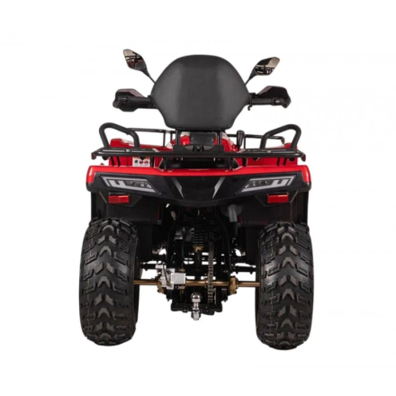 Квадроцикл Bizon YK250 Basic Carb, фото 3