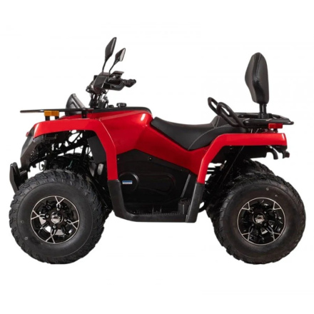 Квадроцикл Bizon YK250 Basic Carb, фото 2