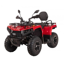 Квадроцикл Bizon YK250 Basic Carb, фото 1