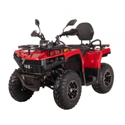 Квадроцикл Bizon YK250 Basic Carb, фото 1