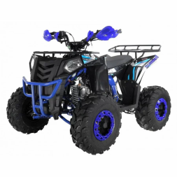 Квадроцикл WELS ATV Thunder EVO 125, фото 2 Квадроцикл WELS ATV Thunder EVO 125, фото 2