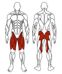 Шаговый (серый) - Уличный тренажер - СТ 005-13.И1, фото 6 Шаговый (серый) - Уличный тренажер - СТ 005-13.И1, фото 6