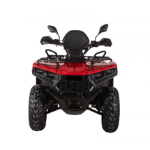 Квадроцикл Bizon YK250 Lux EFI