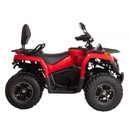 Квадроцикл Bizon YK250 Lux EFI, фото 4