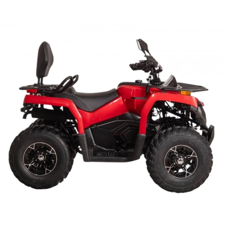 Квадроцикл Bizon YK250 Lux EFI, фото 4