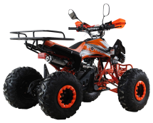 Квадроцикл MOTAX ATV T-Rex Super LUX 125 cc