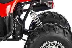 Квадроцикл TIGER Opti 150 (2024), фото 6