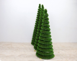 Топиари композиция Ёлки спиральки - газон Deluxe, фото 2