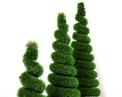 Топиари композиция Ёлки спиральки - газон Deluxe, фото 3