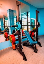 Машина Смитта с противовесом Х217 