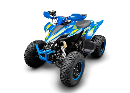 Квадроцикл RACER Typhoon 250, фото 1