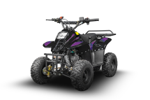 Квадроцикл RAPTOR 150 Universal Квадроцикл RAPTOR 150 Universal