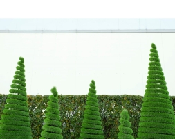Топиари композиция Елки спиральки - газон Deluxe Simple, фото 2