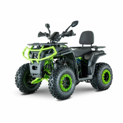 Квадроцикл YACOTA VIKING New 200, фото 3 Квадроцикл YACOTA VIKING New 200, фото 3