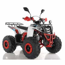Квадроцикл WELS EVO ST