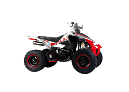 Квадроцикл MOTOLAND RALLY 250, фото 4