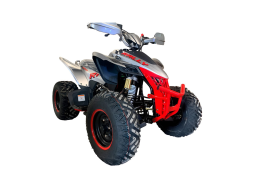 Квадроцикл MOTOLAND RALLY 250, фото 3