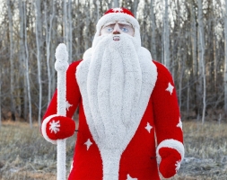 Топиари Дед Мороз - газон Eco, фото 4