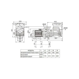 Насос с префильтром AquaViva LX SEQ2500, фото 4
