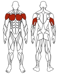 Жим от груди (серый) - Уличный тренажер - СТ 006-13.И1, фото 6 Жим от груди (серый) - Уличный тренажер - СТ 006-13.И1, фото 6