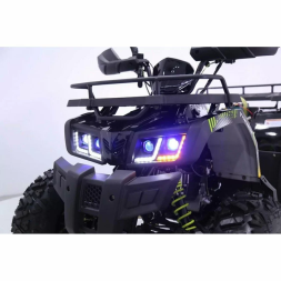 Квадроцикл YACOTA WARRIOR 200, фото 8 Квадроцикл YACOTA WARRIOR 200, фото 8