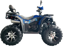 Квадроцикл MOTOLAND 300 Wild Track LUX