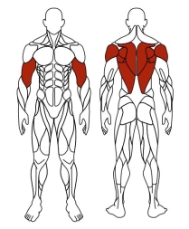 Тяга верхняя (красный) - Уличный тренажер - СТ 007-11.И1, фото 6 Тяга верхняя (красный) - Уличный тренажер - СТ 007-11.И1, фото 6