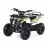 Квадроцикл MOTAX ATV Mini Grizlik X-16