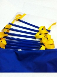 Скоростная лестница &quot;SL 30&quot; 14.5 м. ФЛА., фото 3