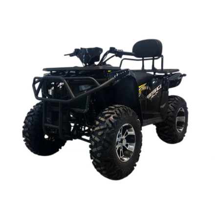 Квадроцикл Bizon ZX350, фото 8