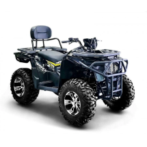 Квадроцикл Bizon ZX350