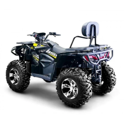 Квадроцикл Bizon ZX350, фото 3