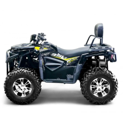 Квадроцикл Bizon ZX350, фото 2