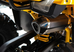 Квадроцикл MOTOLAND 125 Wild (2021 Г.), фото 5