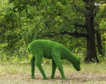 Топиари олень, Самочка - газон Eco Green
