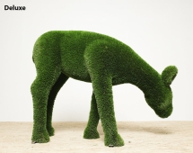 Топиари олень, Самочка - газон Eco Green