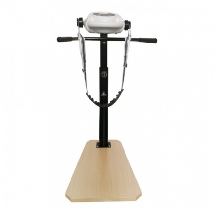 Вибромассажер DFC Vibro25 два ремня, поручень VM25H, фото 2