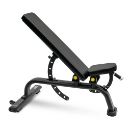 Универсальная регулируемая скамья BRONZE GYM BR-1001, фото 1
