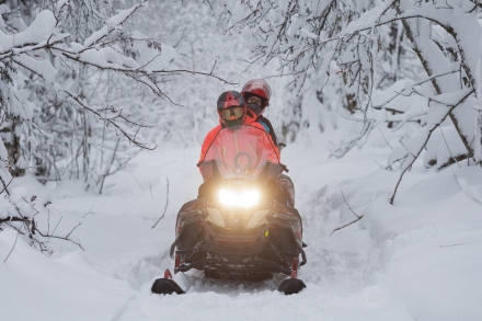 Снегоход AODES Snowcross 1000 SWT LTS, фото 25