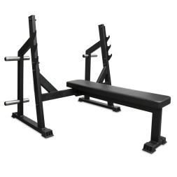 Скамья для жима горизонтальная BRONZE GYM PARTNER AL-304L, фото 1