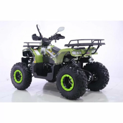 Квадроцикл YACOTA WARRIOR 200 PRO, фото 2 Квадроцикл YACOTA WARRIOR 200 PRO, фото 2