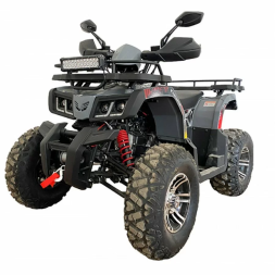 Квадроцикл YACOTA WARRIOR 200 PRO, фото 1 Квадроцикл YACOTA WARRIOR 200 PRO, фото 1